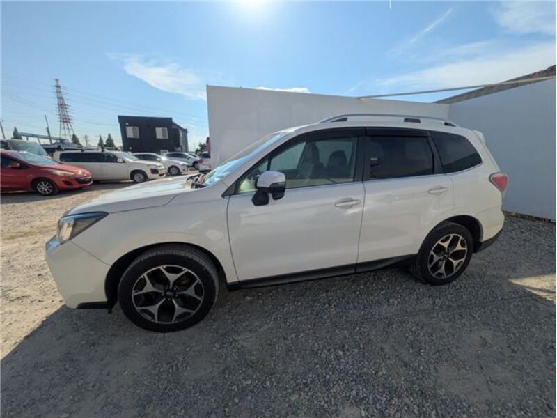 FORESTER
