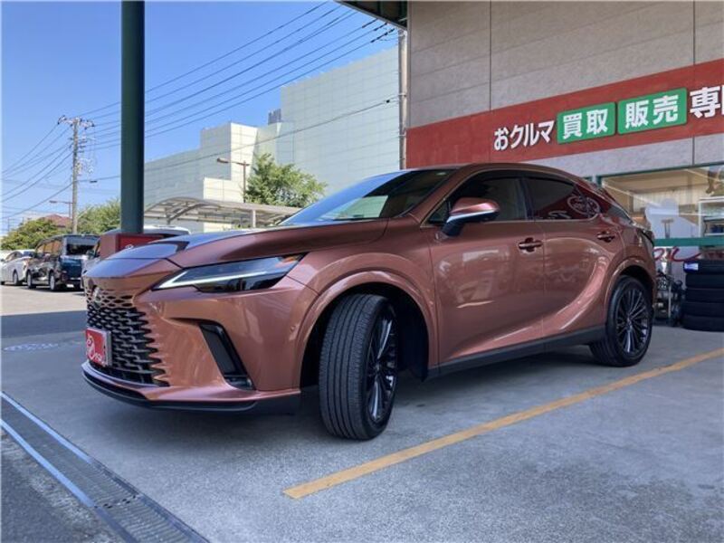 RX