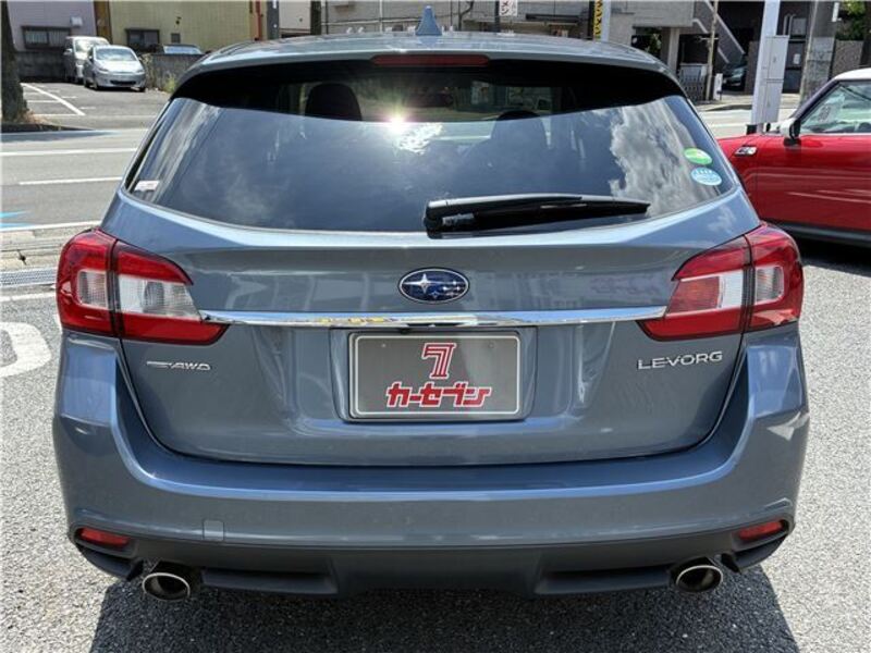 LEVORG