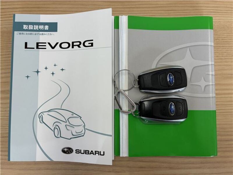 LEVORG