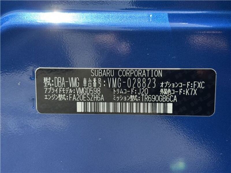 LEVORG