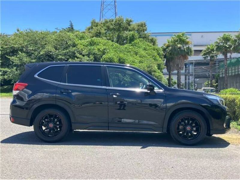 FORESTER