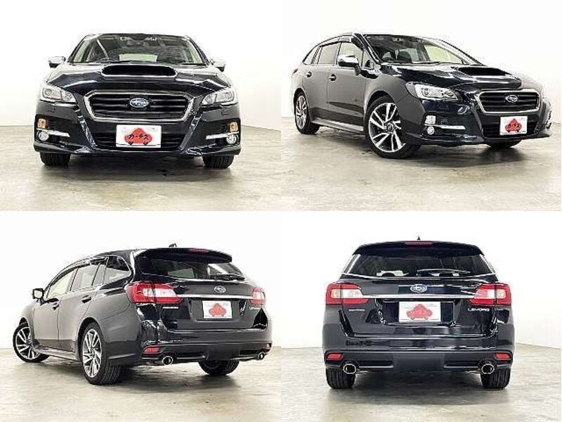 LEVORG