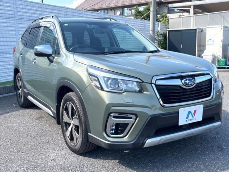 FORESTER