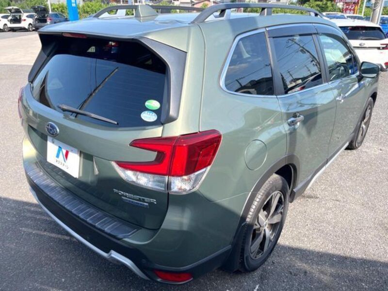 FORESTER