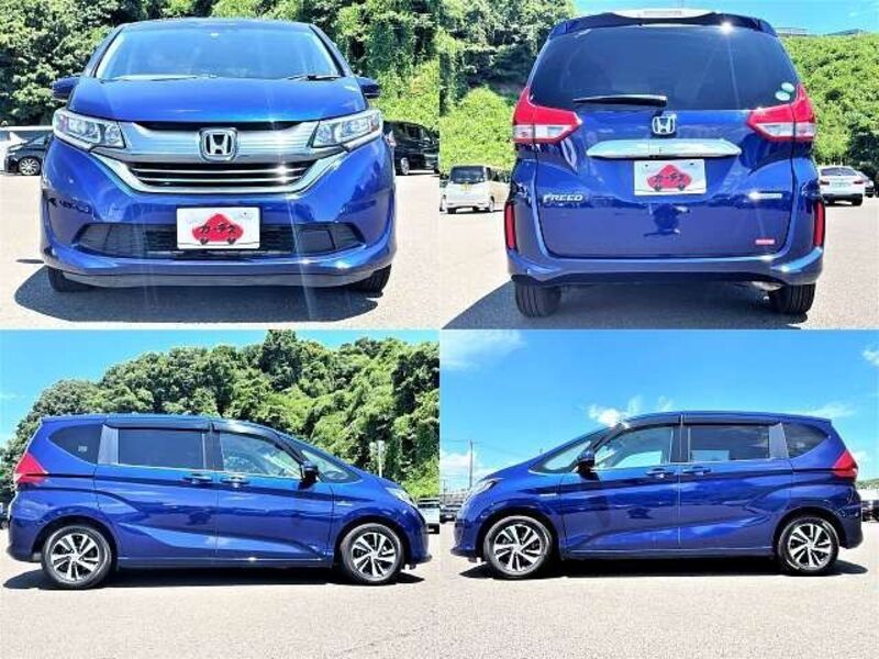 FREED HYBRID