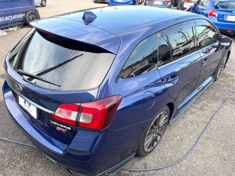 LEVORG