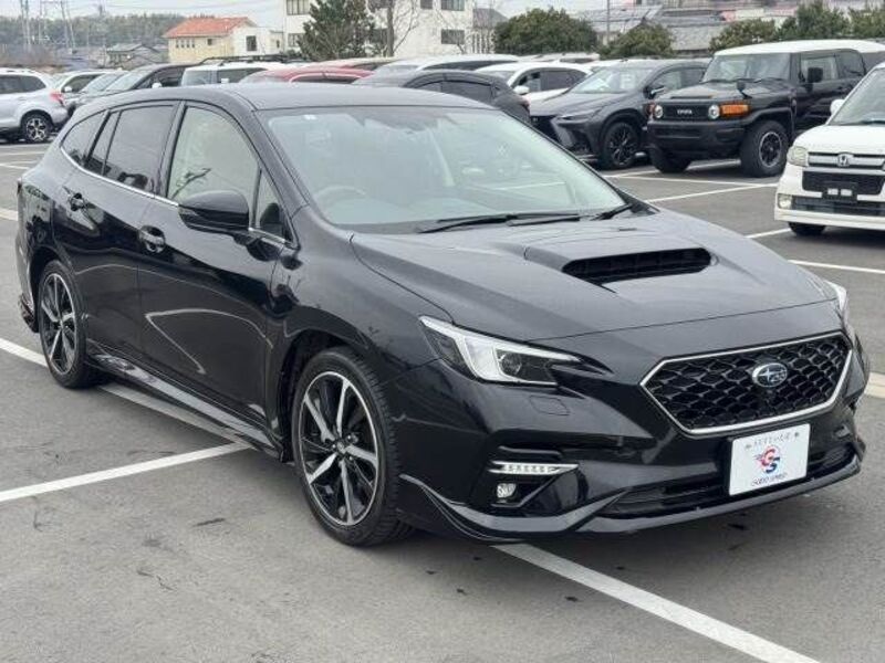 LEVORG