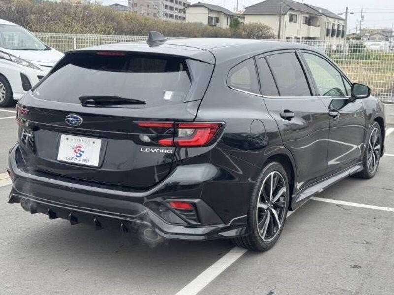 LEVORG