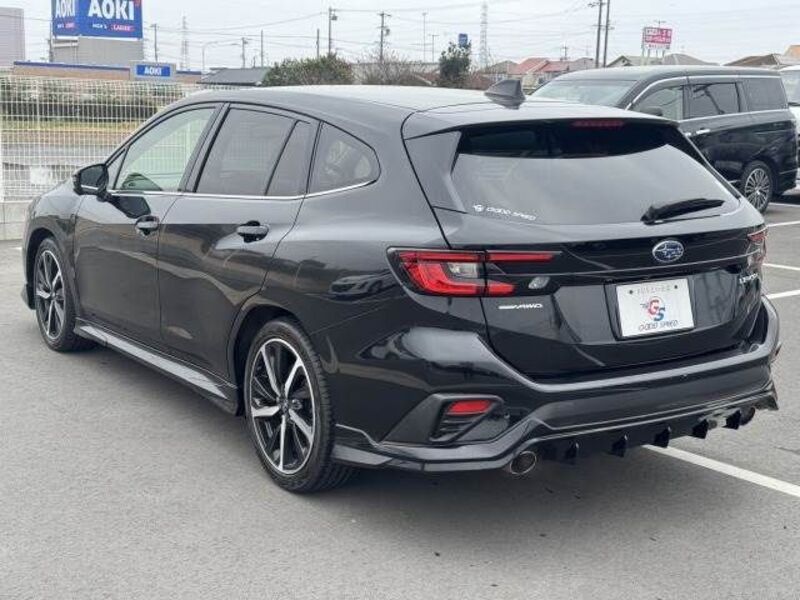 LEVORG