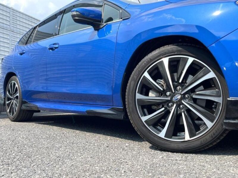 LEVORG