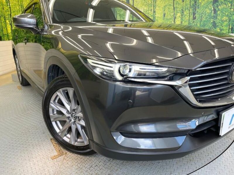 CX-8