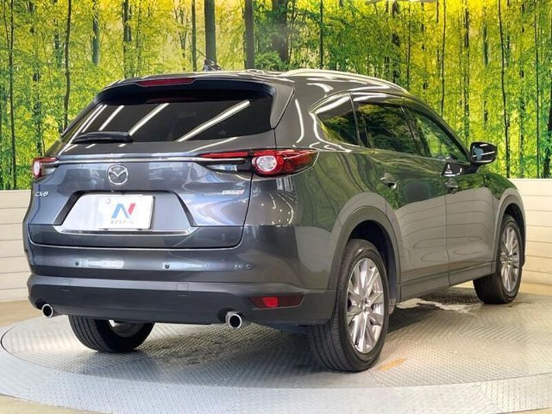 CX-8