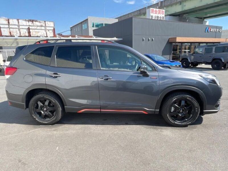 FORESTER