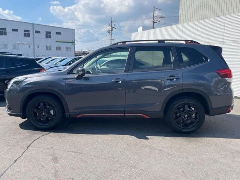 FORESTER