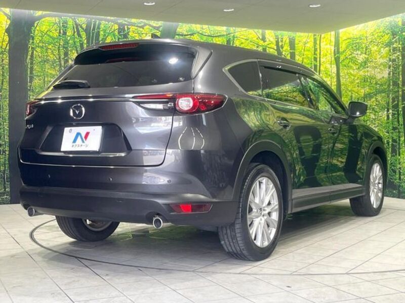 CX-8