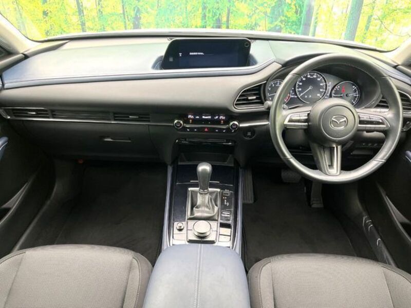 CX-30