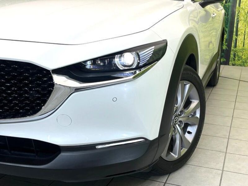 CX-30