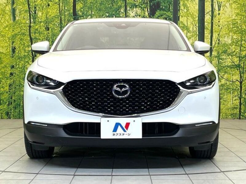 CX-30