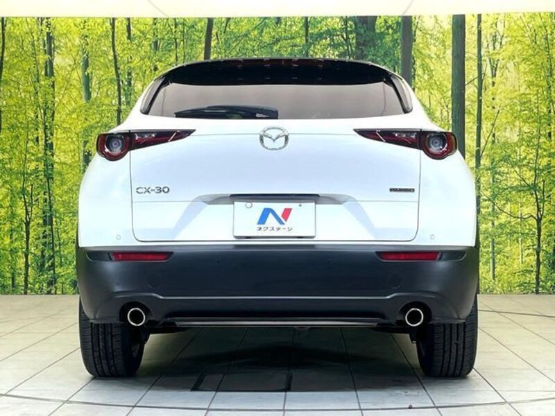 CX-30