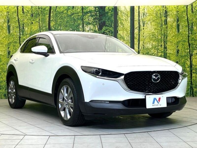 CX-30