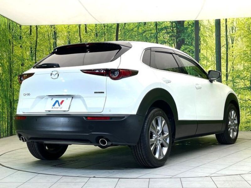 CX-30