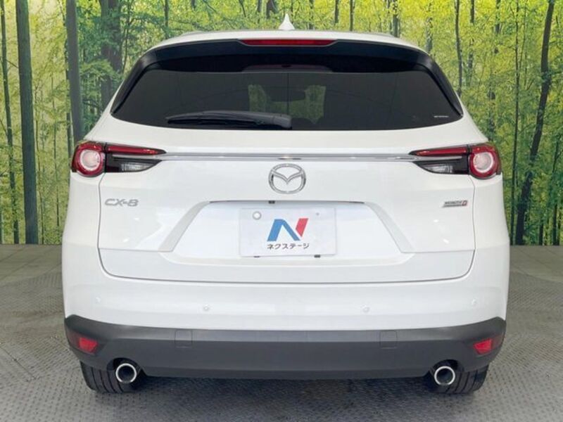 CX-8