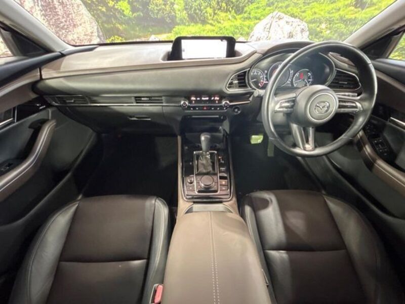 CX-30
