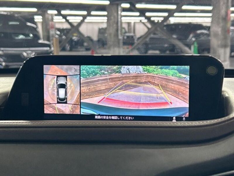 CX-30