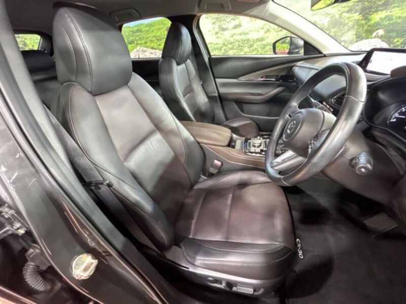 CX-30