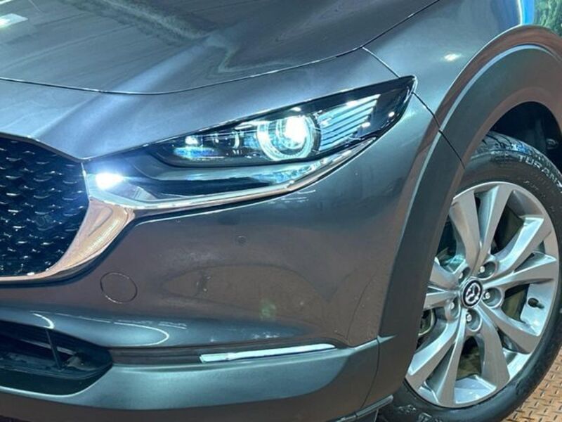 CX-30
