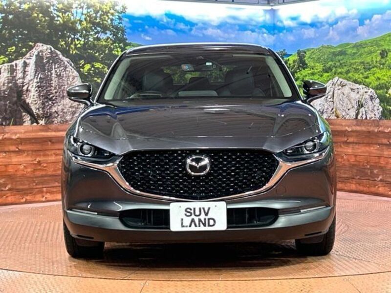 CX-30