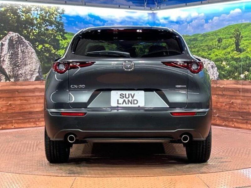 CX-30