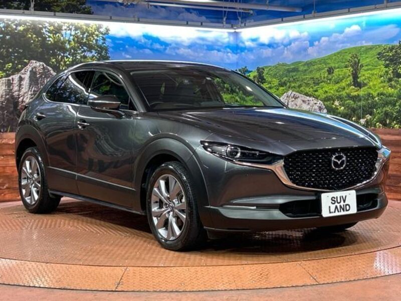 CX-30