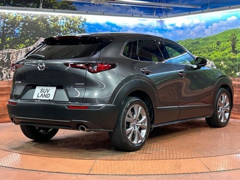 CX-30