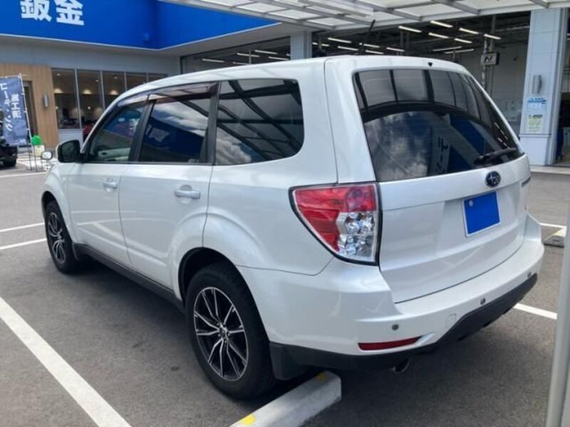 FORESTER