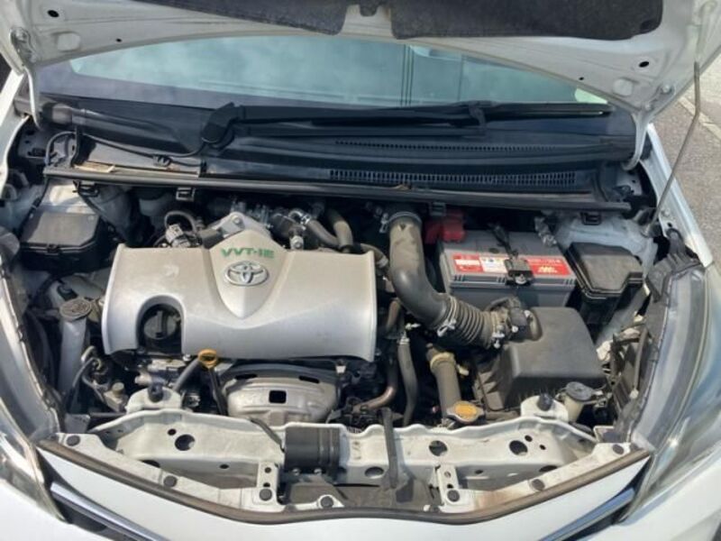 VITZ