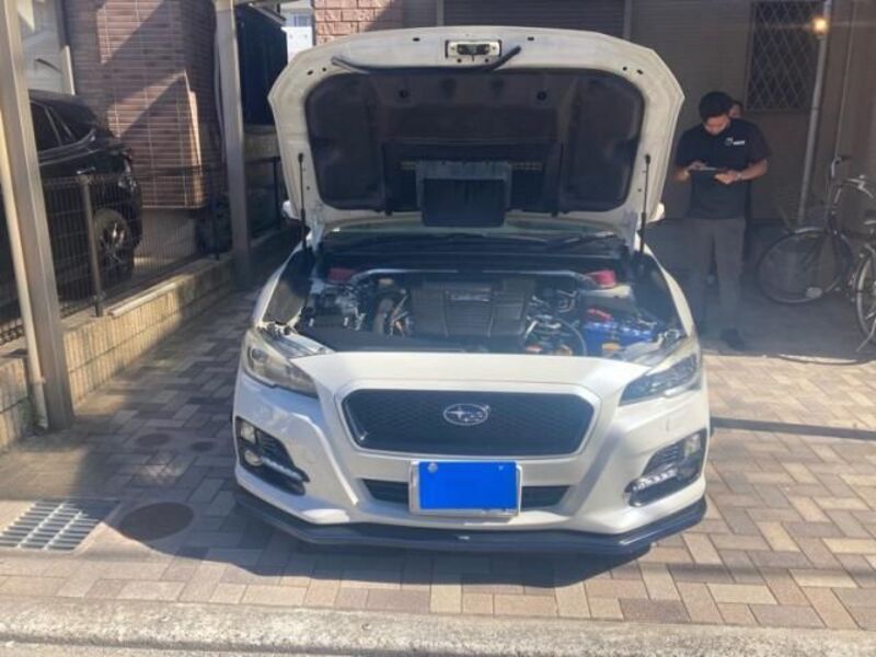LEVORG-0