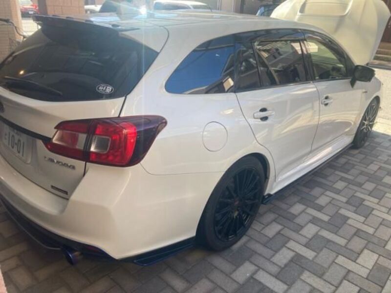 LEVORG