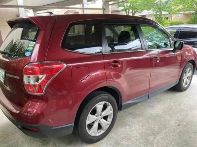 FORESTER