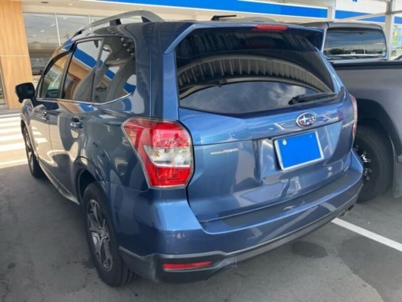 FORESTER