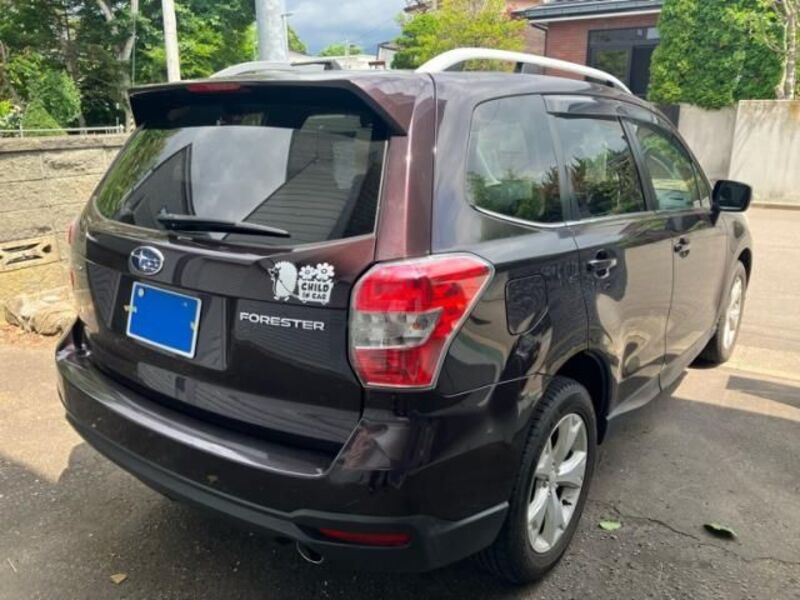 FORESTER