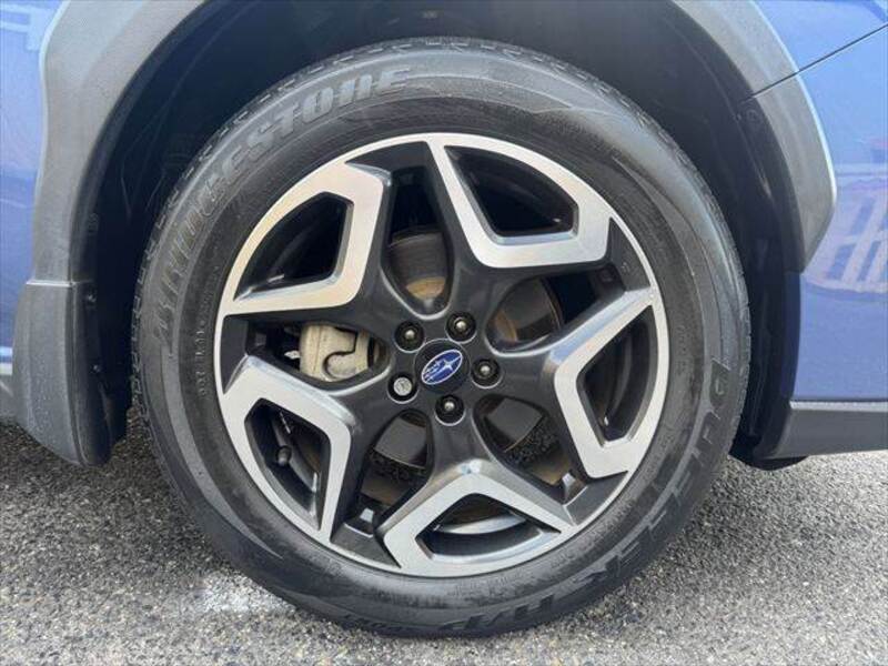 XV
