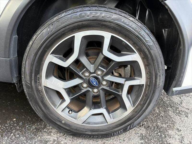 XV
