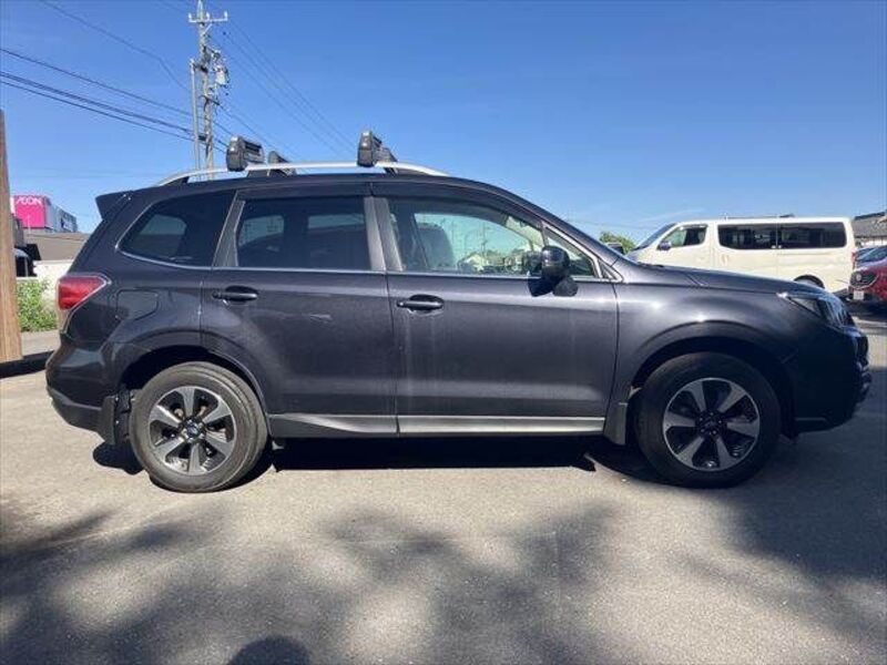 FORESTER