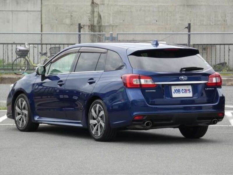 LEVORG