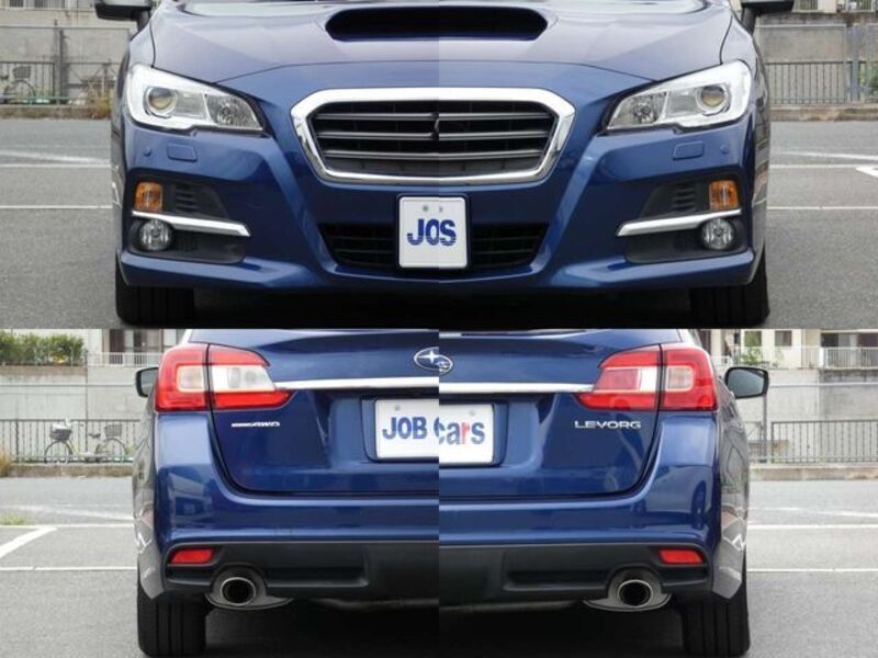 LEVORG