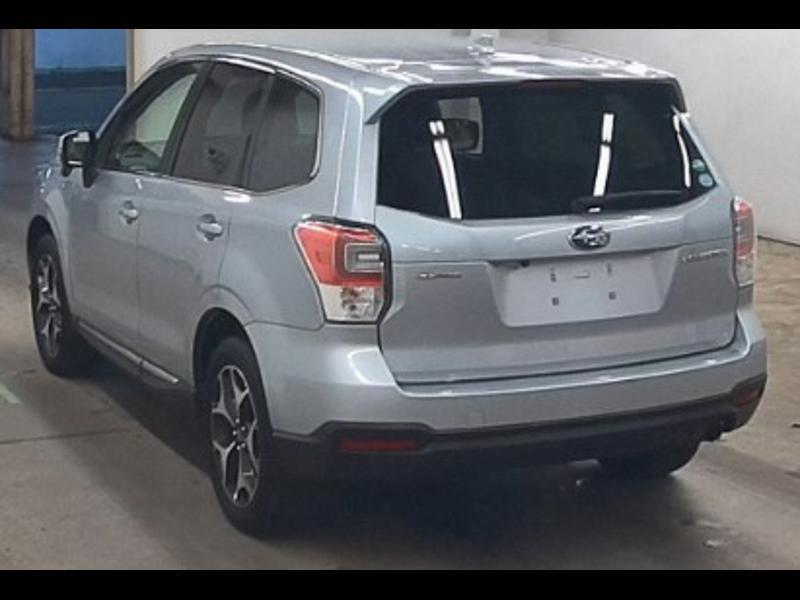 FORESTER