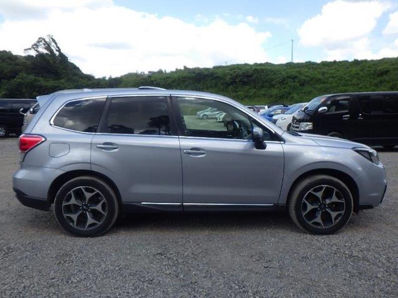 FORESTER