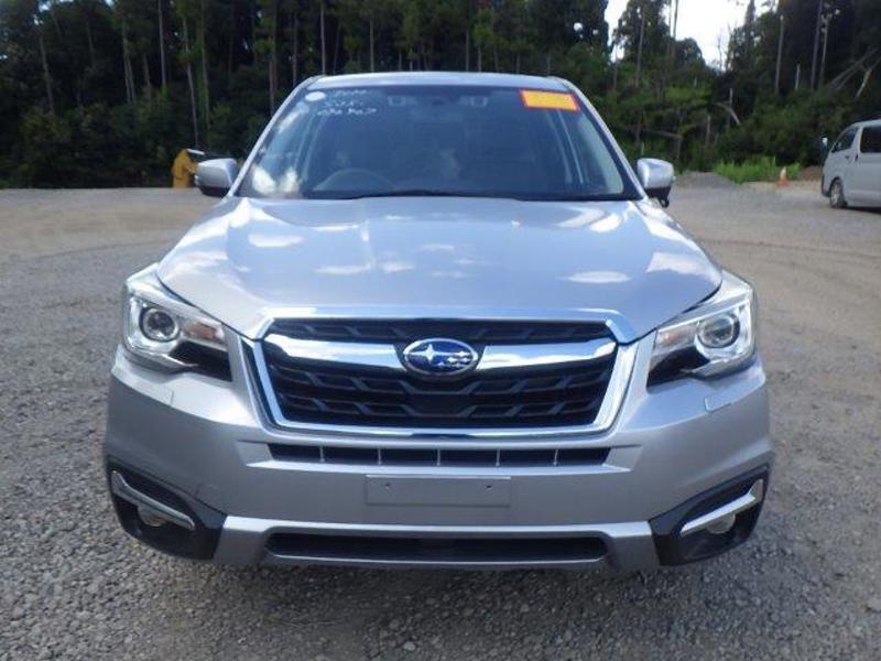 FORESTER